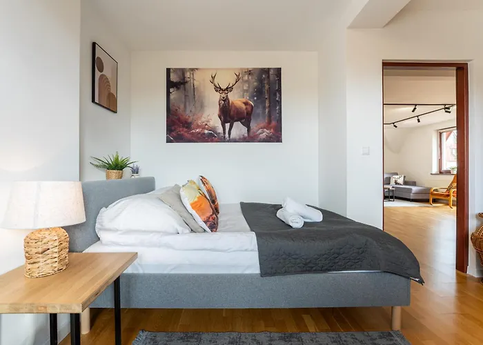 Lipki Z Widokiem Na Giewont